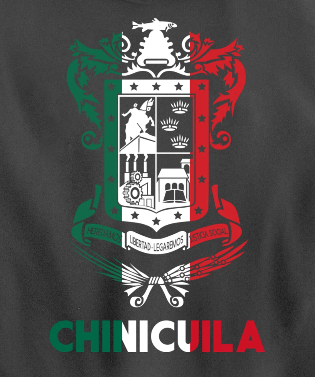 Chinicuila Michoacan Mexico Escudo Y Lema Arte Emblem Merch Pullover Hoodie