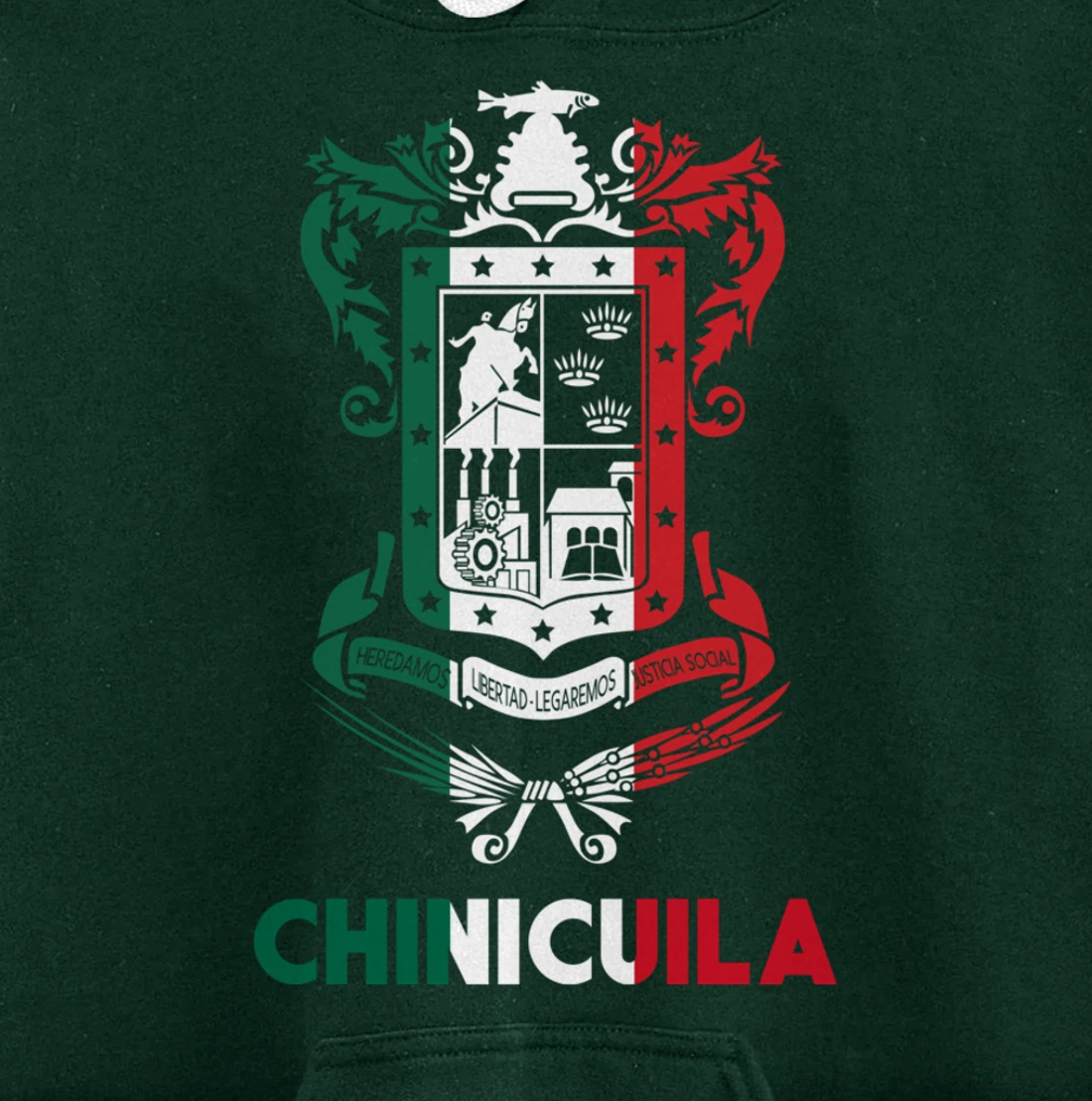 Chinicuila Michoacan Mexico Escudo Y Lema Arte Emblem Merch Pullover Hoodie