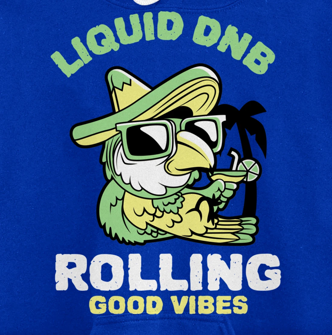 Liquid Drum N Bass Music Liquid Funk Jungle DnB Bird Pullover Hoodie