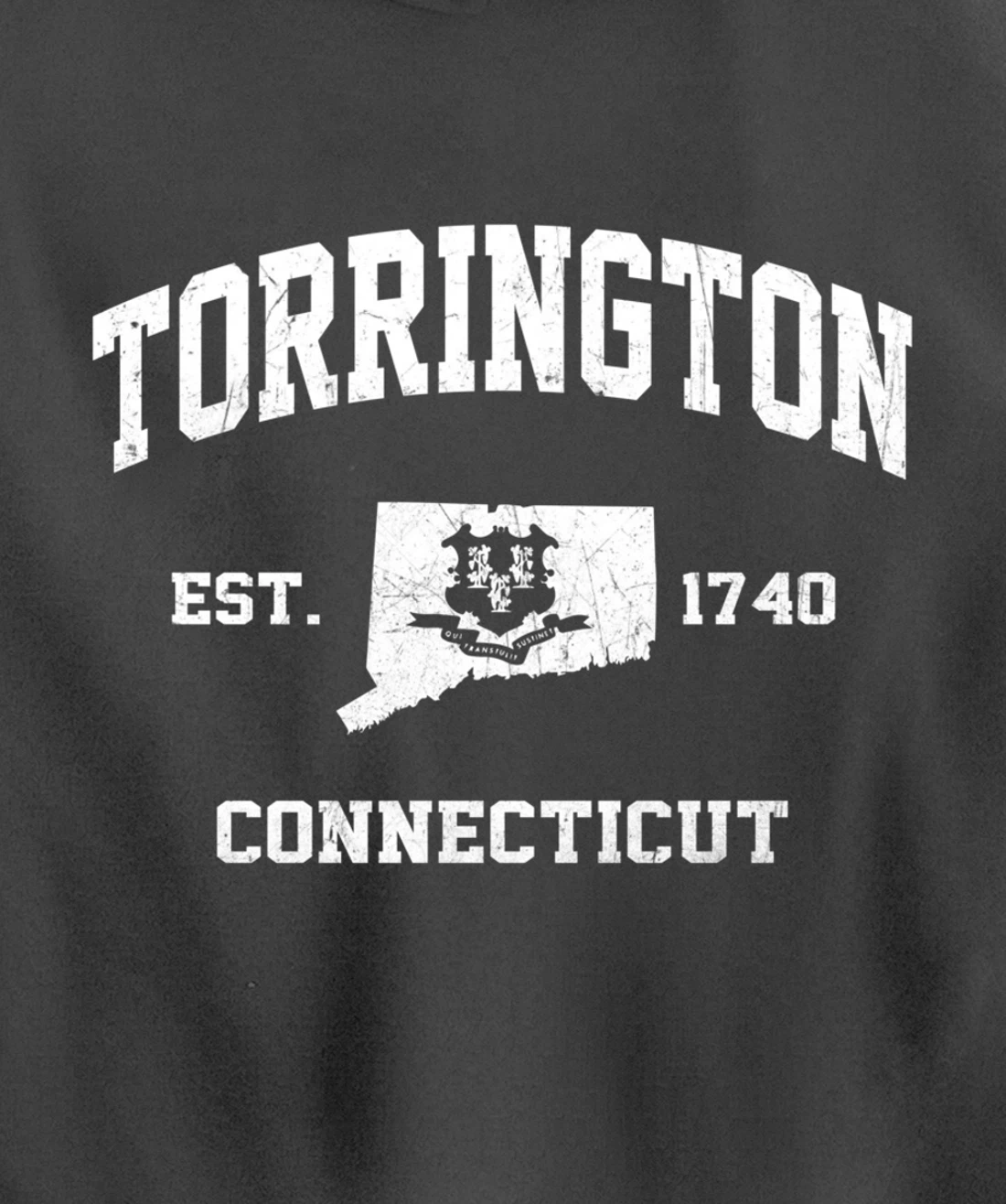 Torrington Connecticut CT vintage state Athletic style Pullover Hoodie