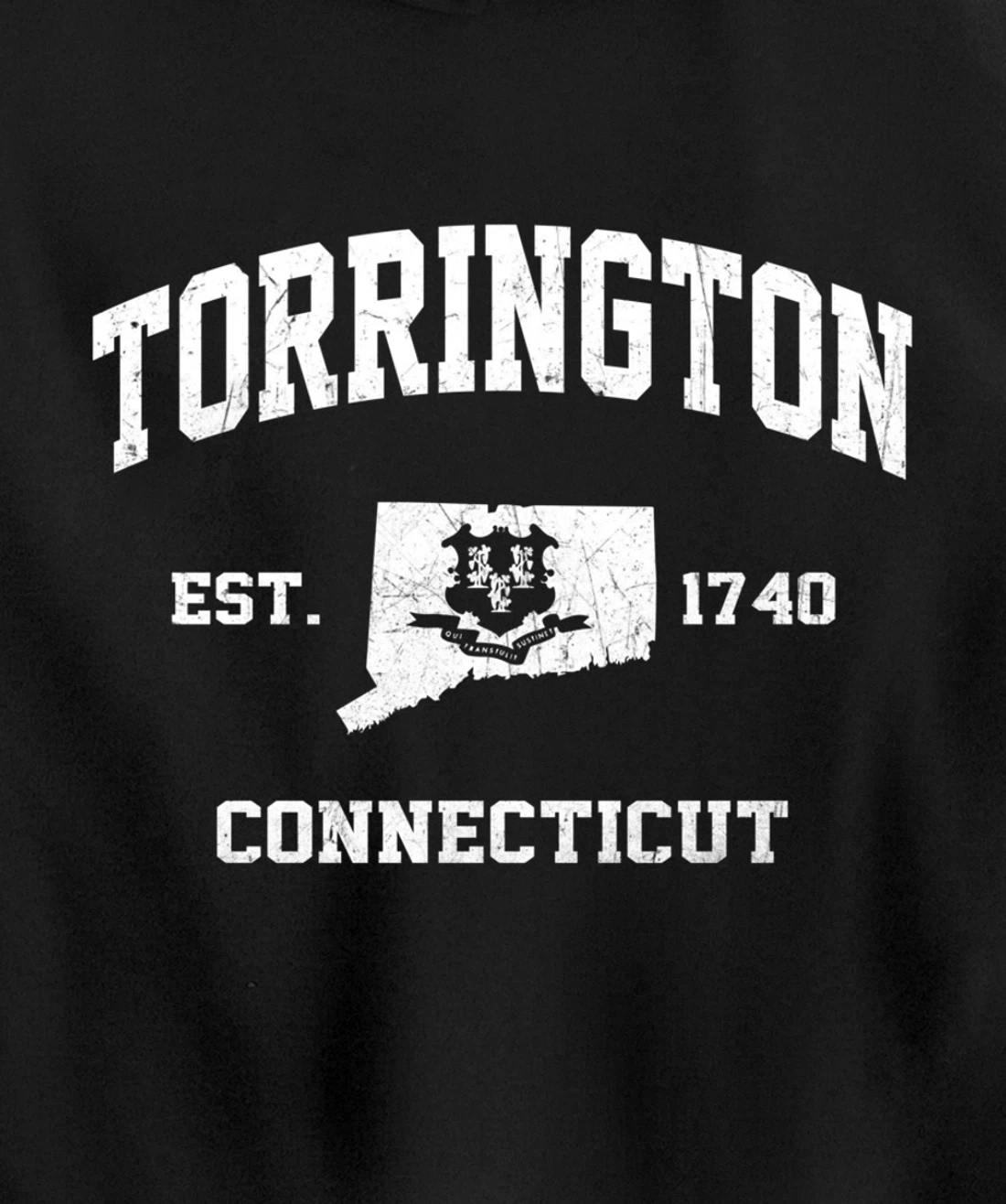 Torrington Connecticut CT vintage state Athletic style Pullover Hoodie