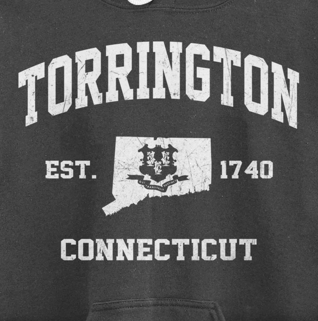 Torrington Connecticut CT vintage state Athletic style Pullover Hoodie