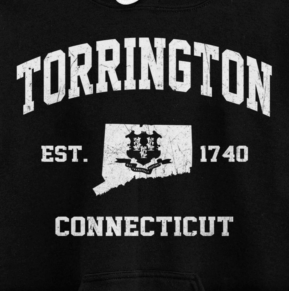 Torrington Connecticut CT vintage state Athletic style Pullover Hoodie
