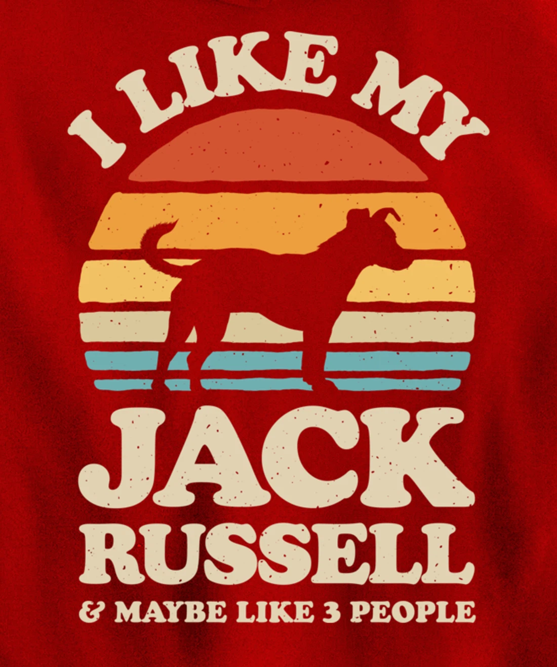 I Like My Jack Russell And Maybe Like 3 People Dog Retro Men Pullover Hoodie