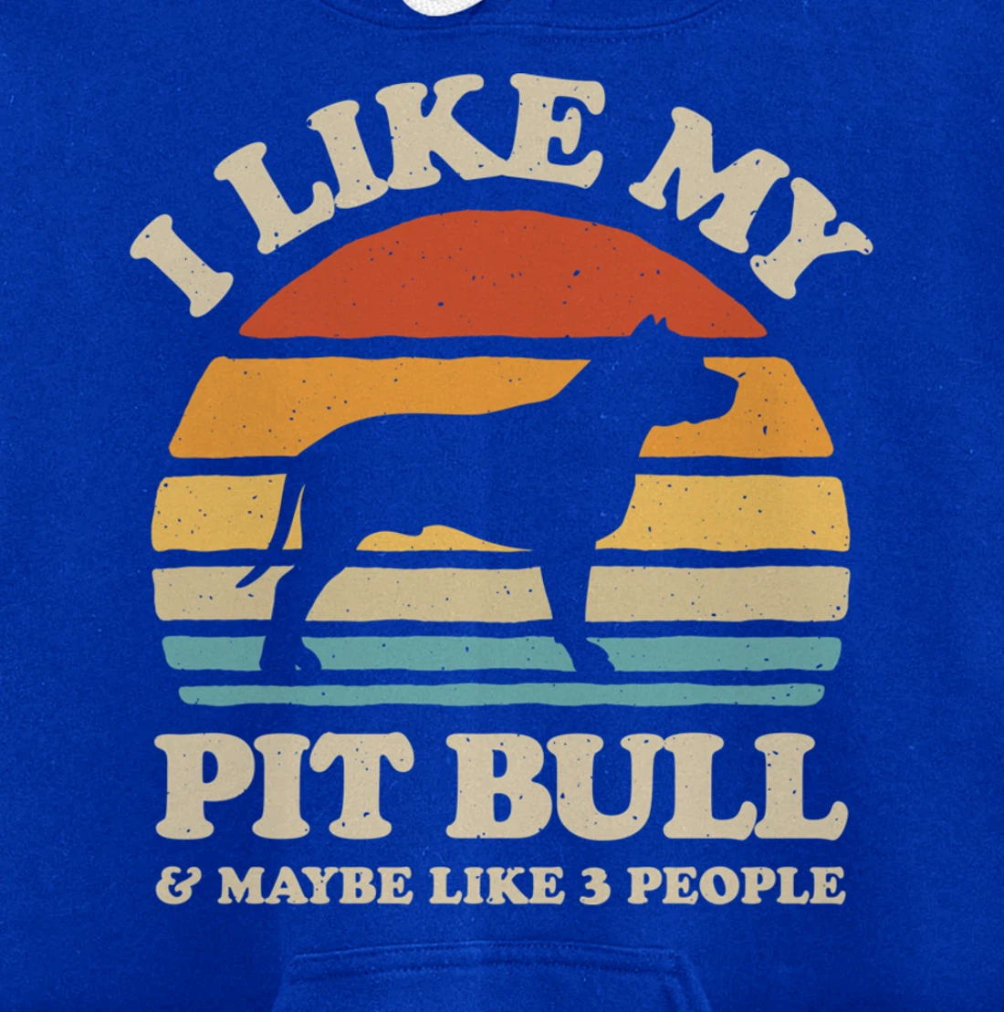 I Like My Pit Bull And Maybe Like 3 People Dog Lover Retro Pullover Hoodie