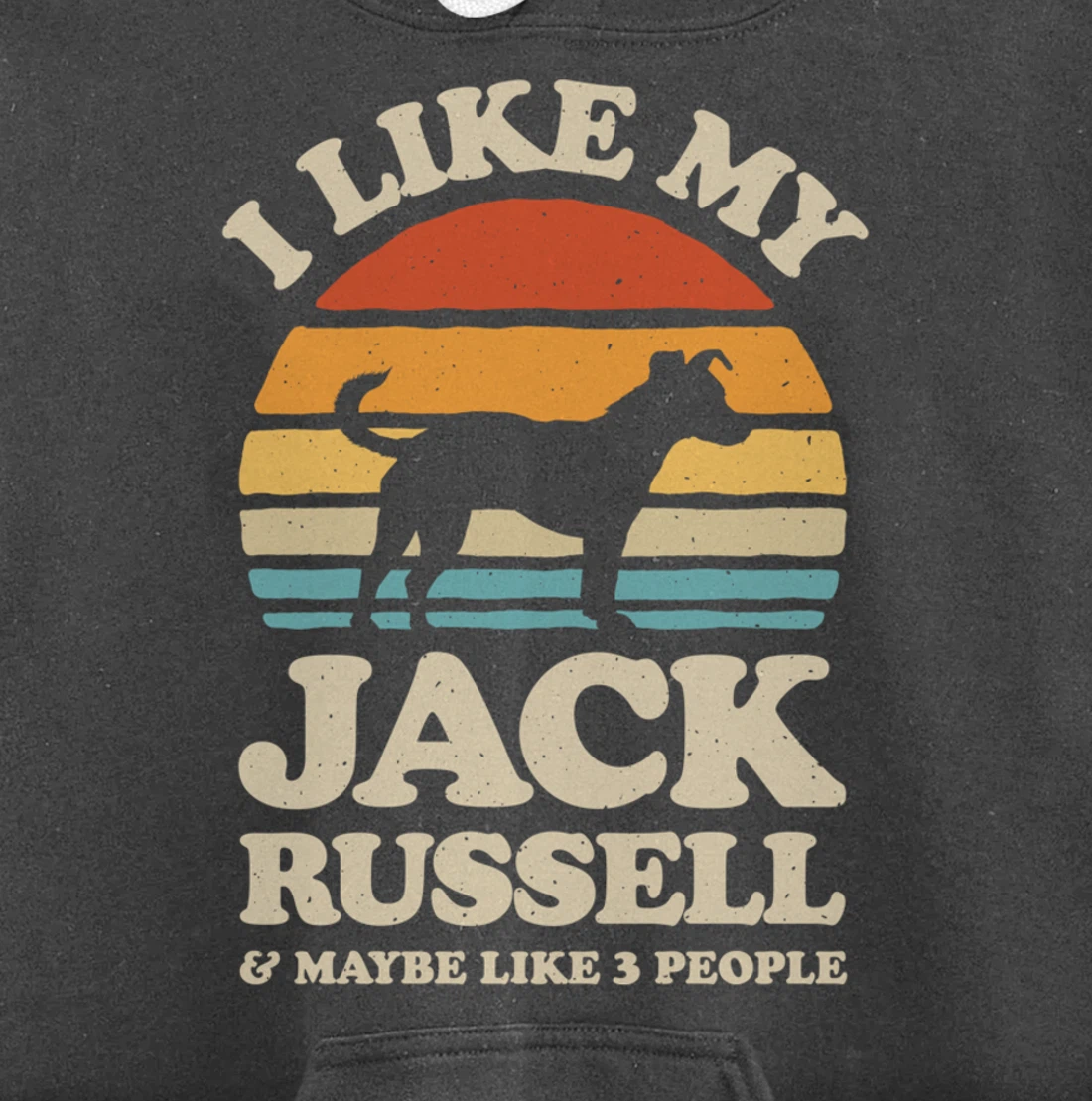 I Like My Jack Russell And Maybe Like 3 People Dog Retro Men Pullover Hoodie