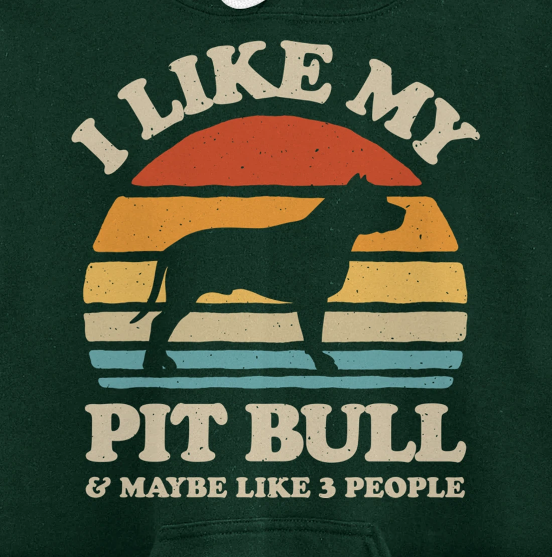 I Like My Pit Bull And Maybe Like 3 People Dog Lover Retro Pullover Hoodie