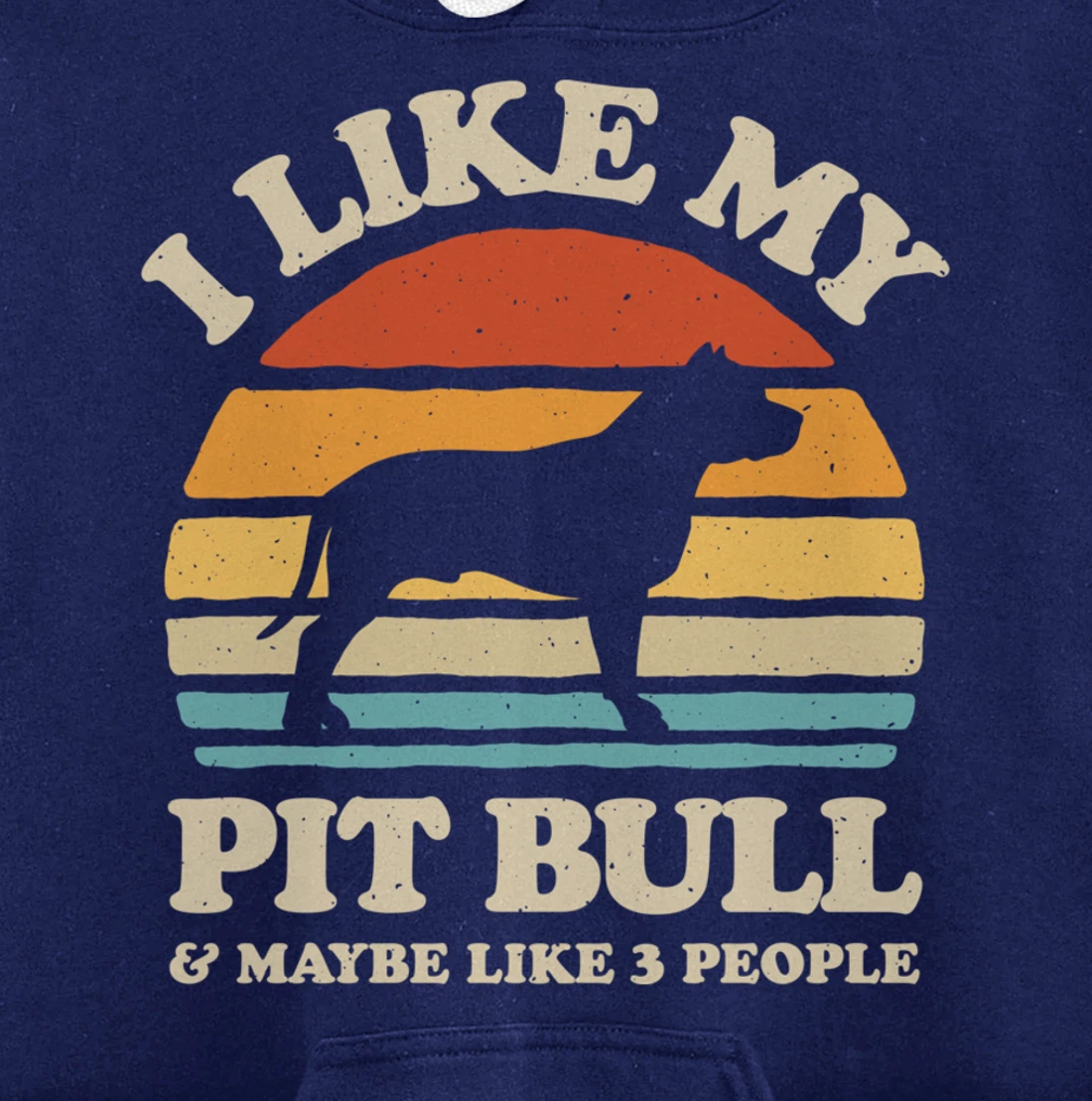 I Like My Pit Bull And Maybe Like 3 People Dog Lover Retro Pullover Hoodie