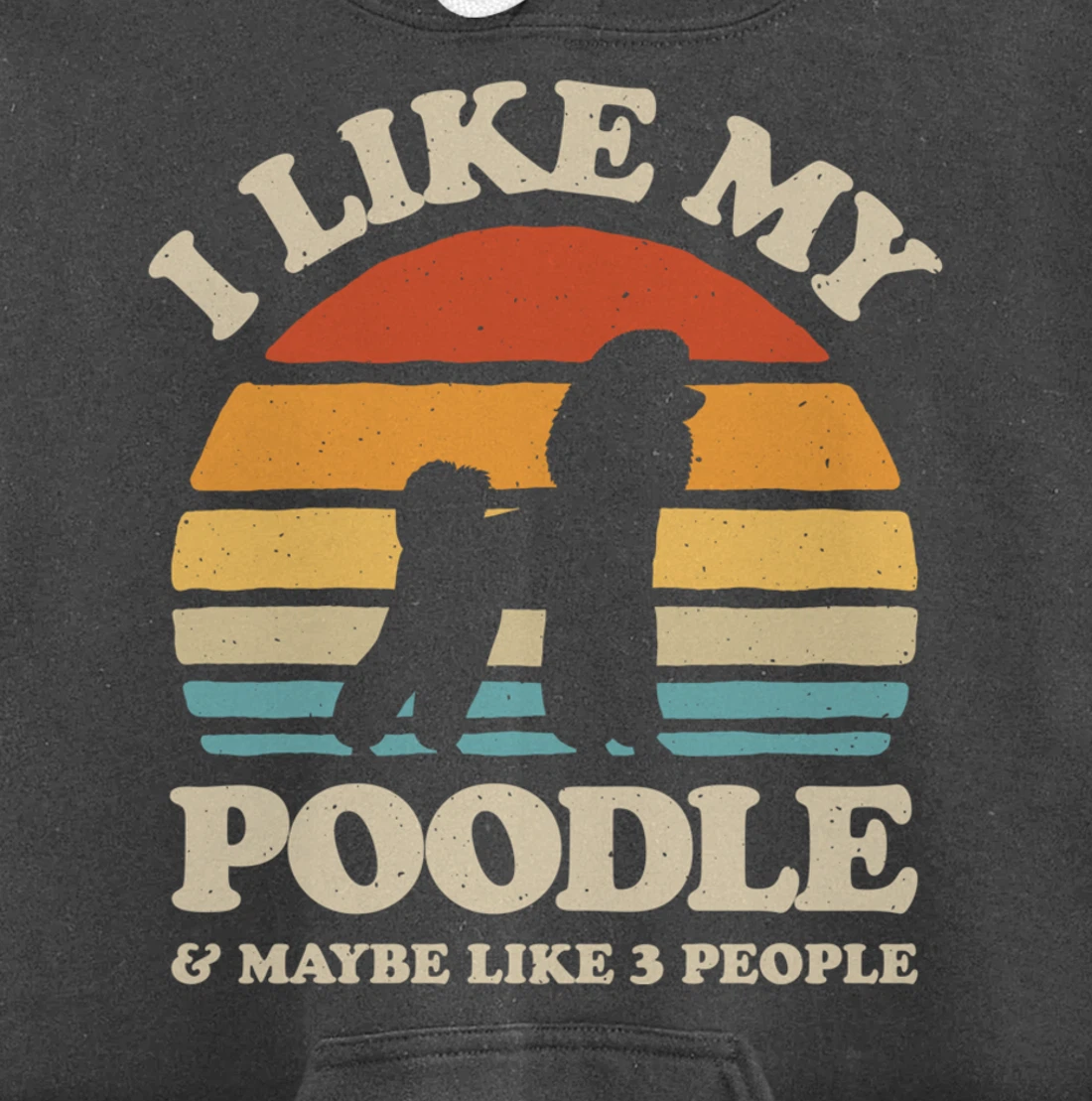 I Like My Poodle And Maybe Like 3 People Dog Lover Retro Men Pullover Hoodie