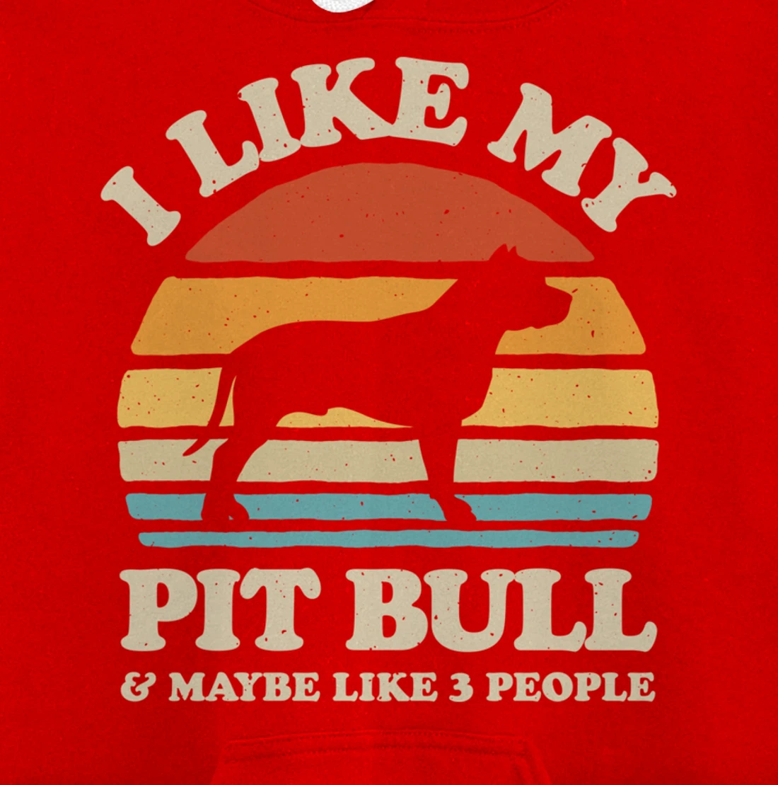 I Like My Pit Bull And Maybe Like 3 People Dog Lover Retro Pullover Hoodie