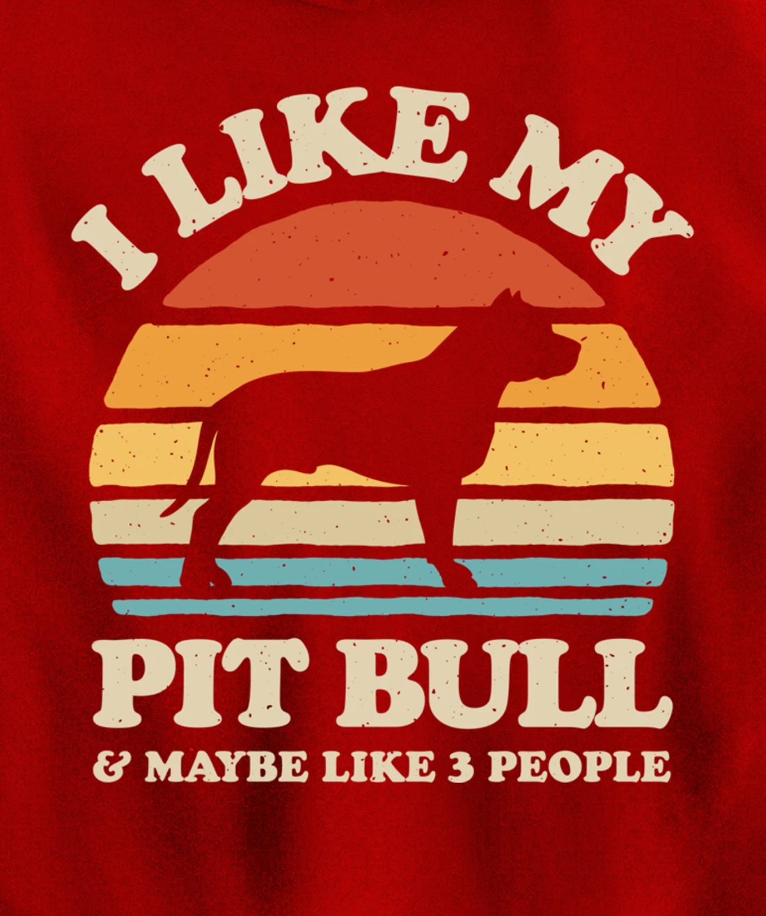 I Like My Pit Bull And Maybe Like 3 People Dog Lover Retro Pullover Hoodie