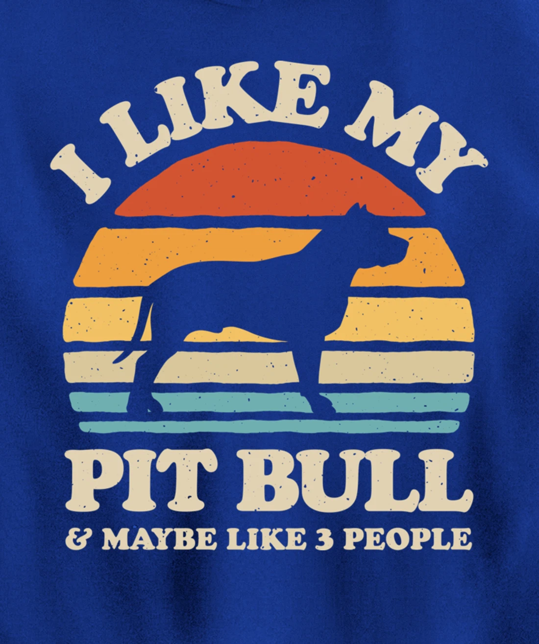 I Like My Pit Bull And Maybe Like 3 People Dog Lover Retro Pullover Hoodie