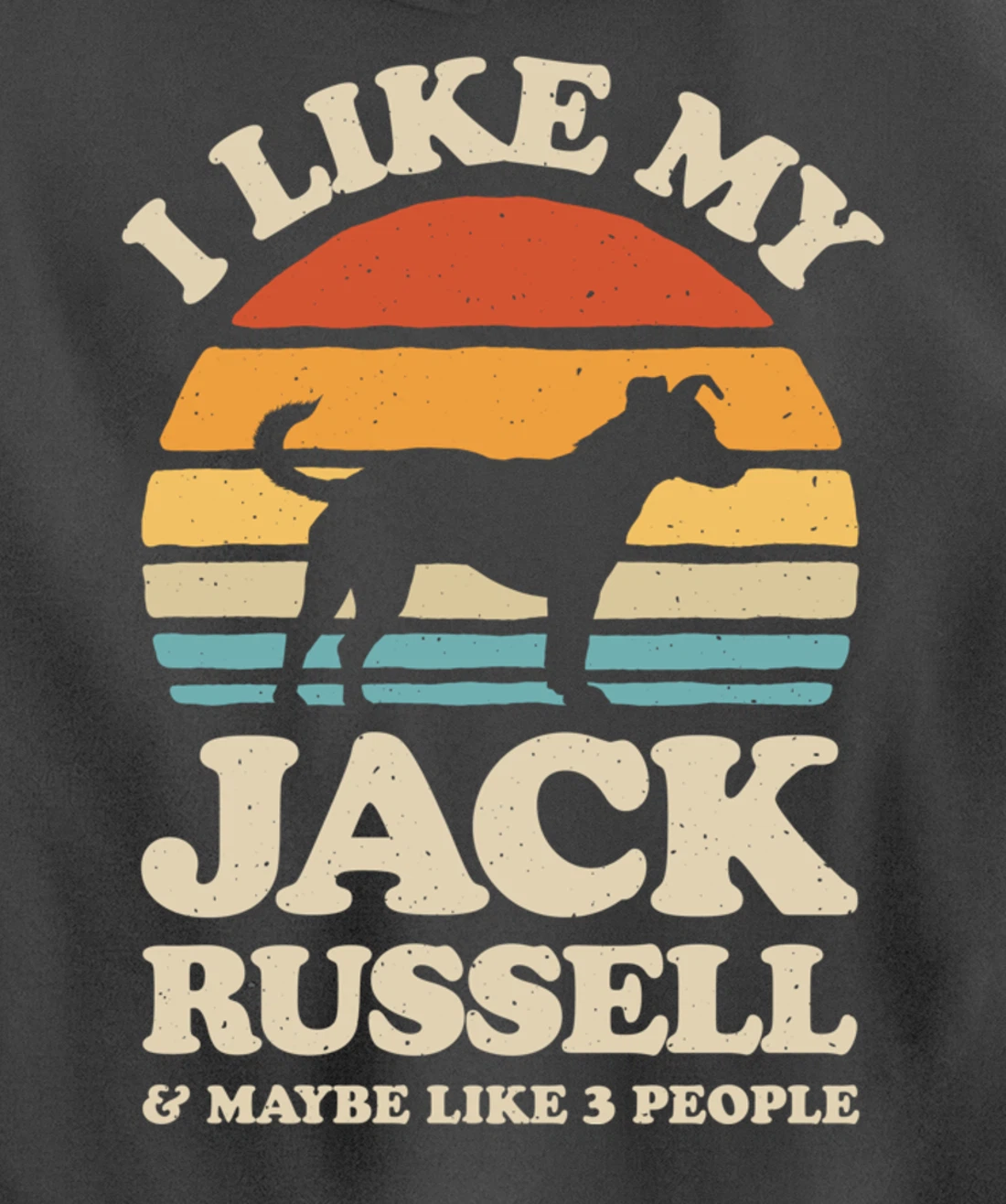 I Like My Jack Russell And Maybe Like 3 People Dog Retro Men Pullover Hoodie
