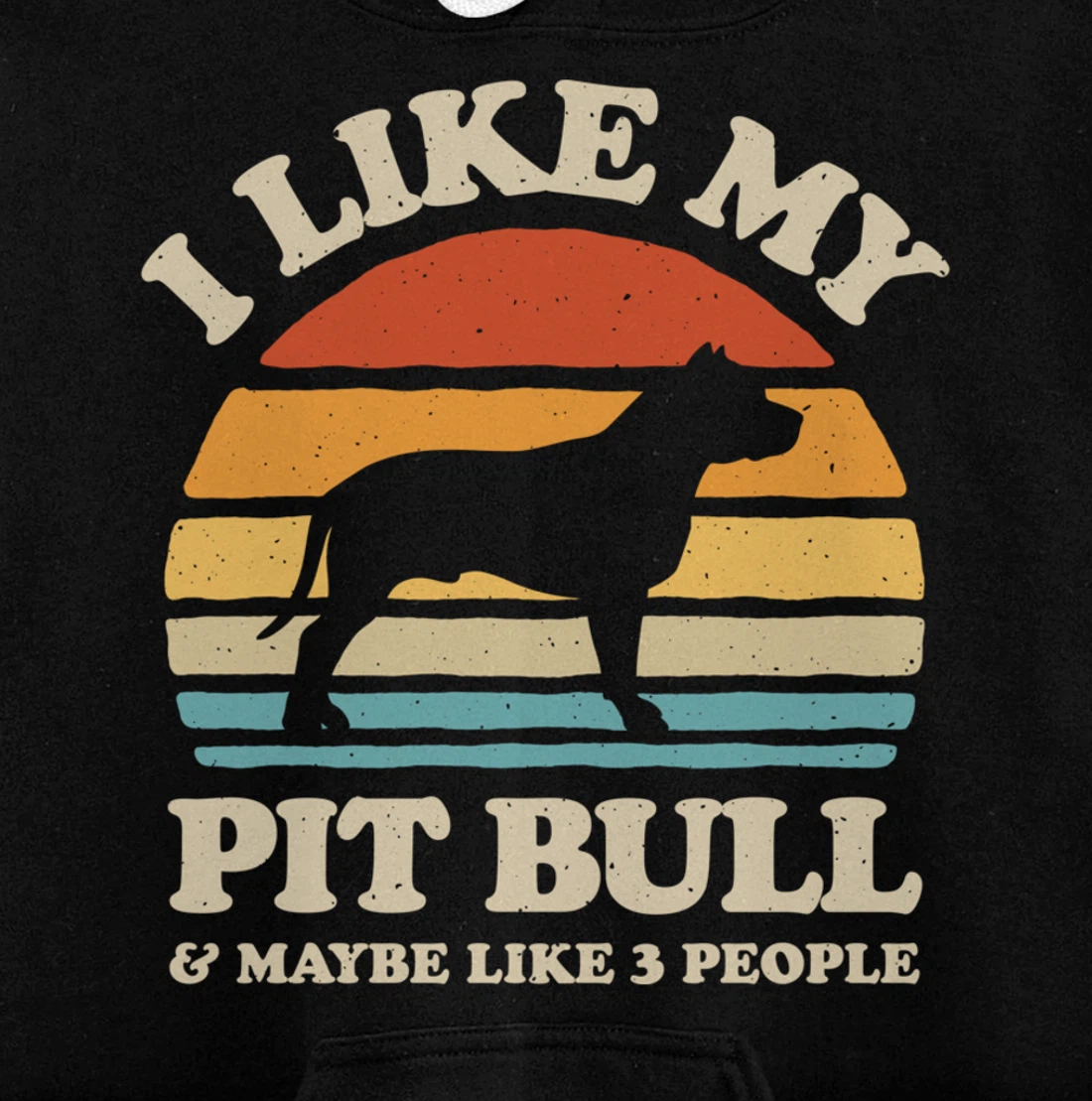 I Like My Pit Bull And Maybe Like 3 People Dog Lover Retro Pullover Hoodie