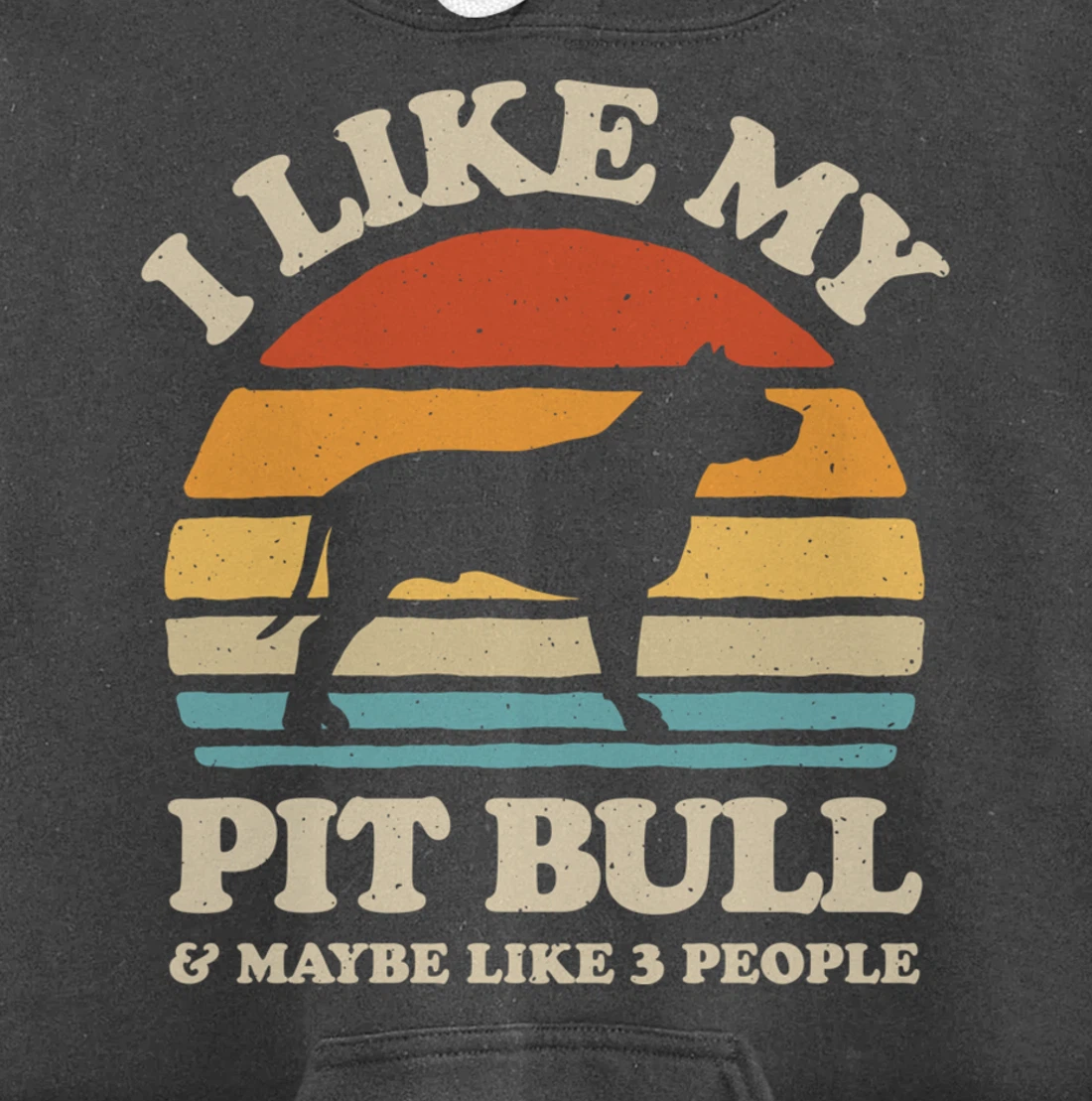 I Like My Pit Bull And Maybe Like 3 People Dog Lover Retro Pullover Hoodie