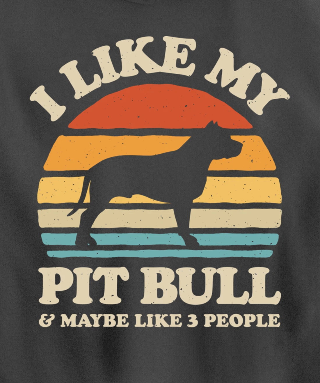 I Like My Pit Bull And Maybe Like 3 People Dog Lover Retro Pullover Hoodie