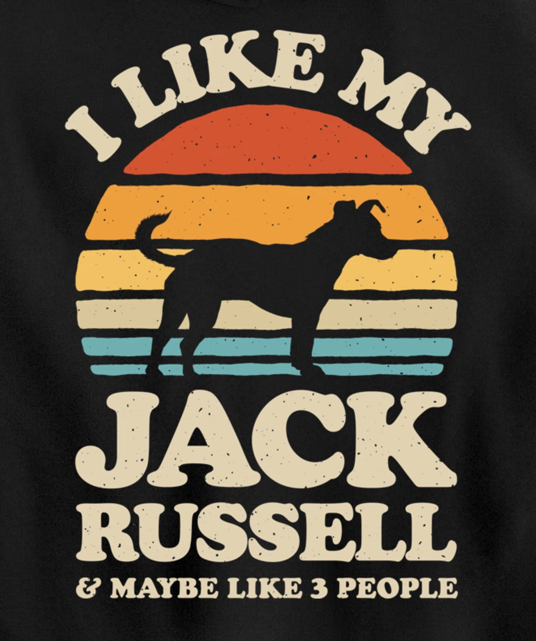 I Like My Jack Russell And Maybe Like 3 People Dog Retro Men Pullover Hoodie
