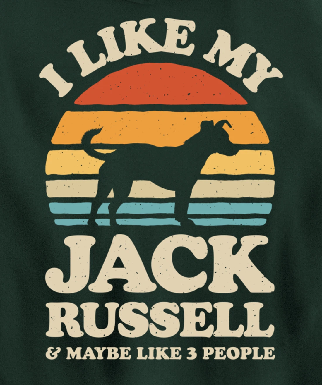 I Like My Jack Russell And Maybe Like 3 People Dog Retro Men Pullover Hoodie