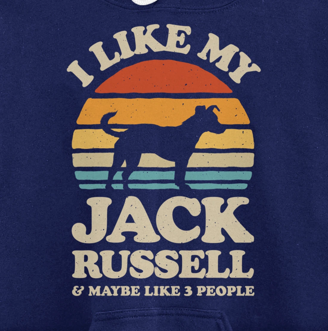 I Like My Jack Russell And Maybe Like 3 People Dog Retro Men Pullover Hoodie