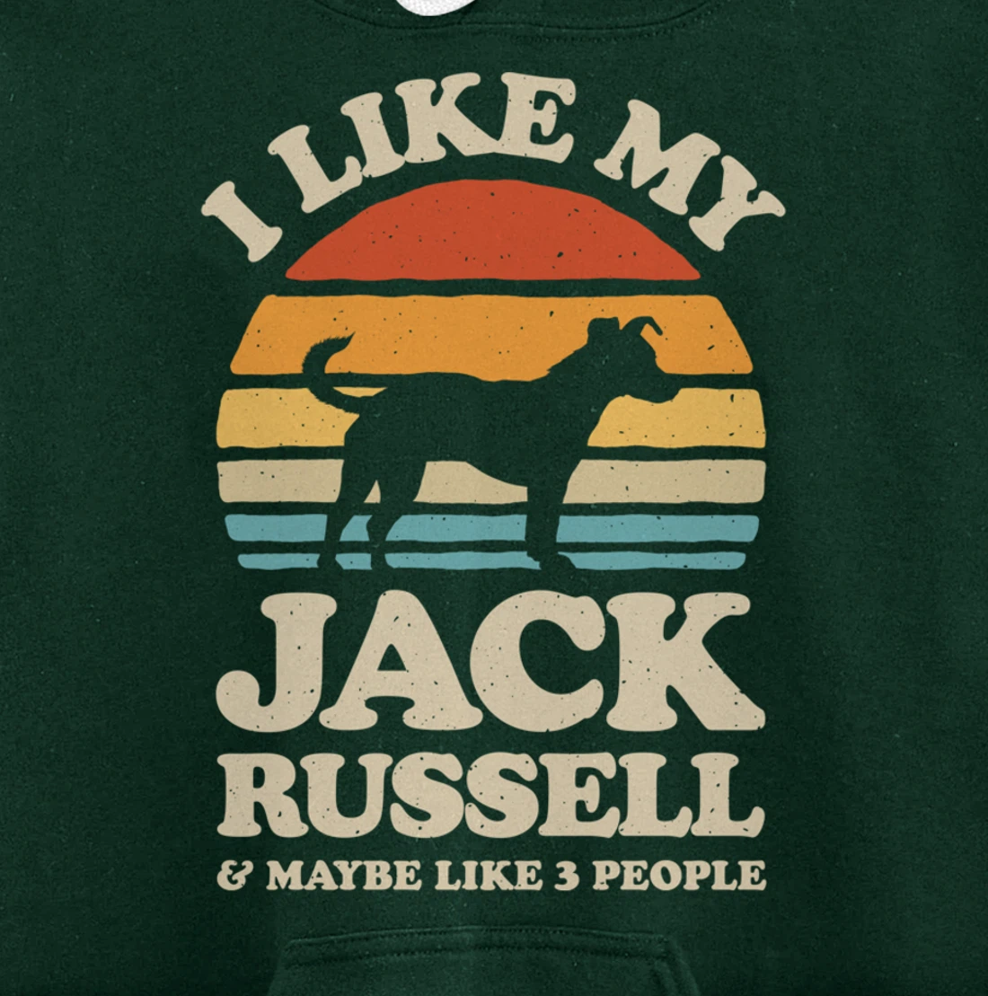 I Like My Jack Russell And Maybe Like 3 People Dog Retro Men Pullover Hoodie