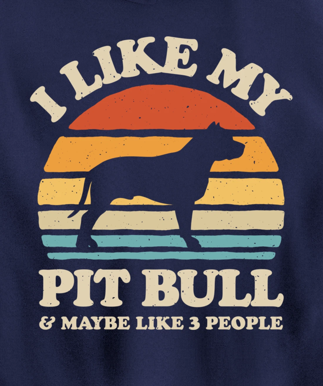 I Like My Pit Bull And Maybe Like 3 People Dog Lover Retro Pullover Hoodie