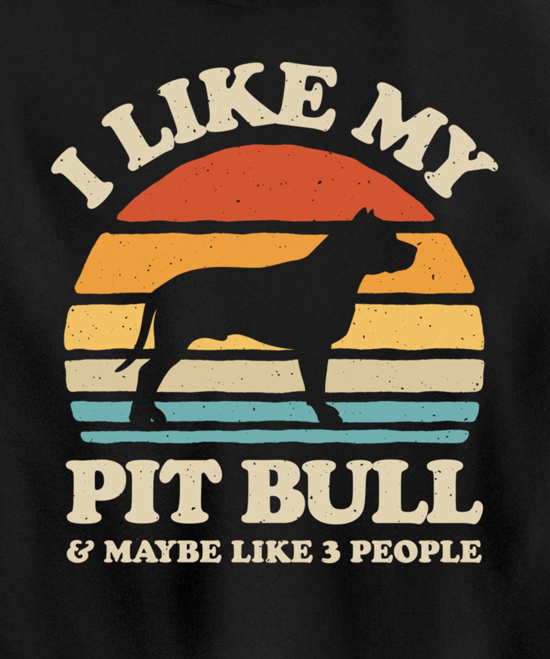 I Like My Pit Bull And Maybe Like 3 People Dog Lover Retro Pullover Hoodie
