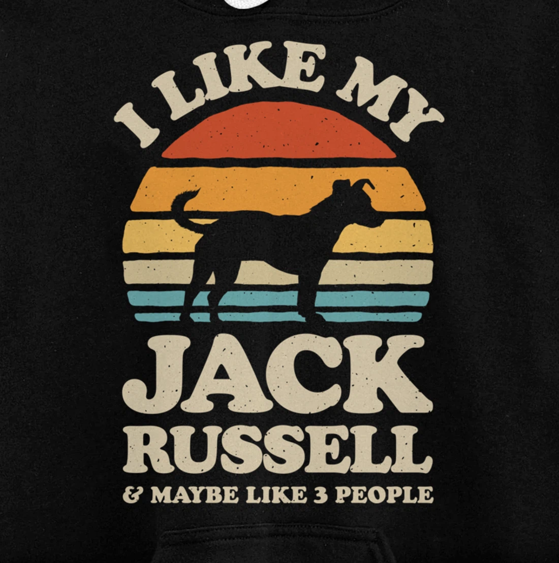 I Like My Jack Russell And Maybe Like 3 People Dog Retro Men Pullover Hoodie