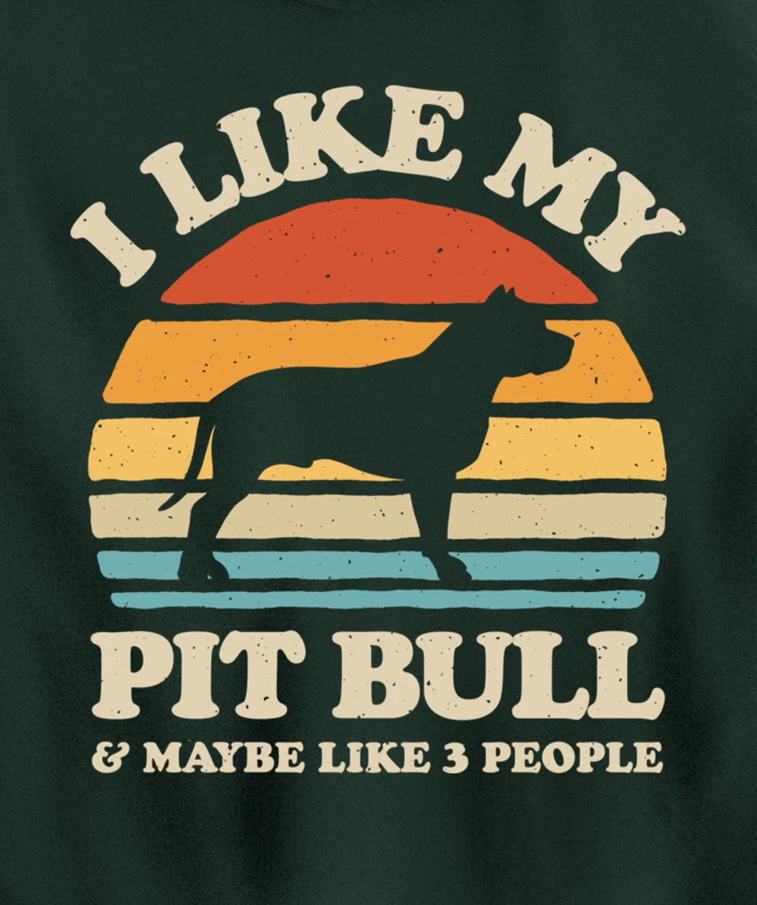 I Like My Pit Bull And Maybe Like 3 People Dog Lover Retro Pullover Hoodie
