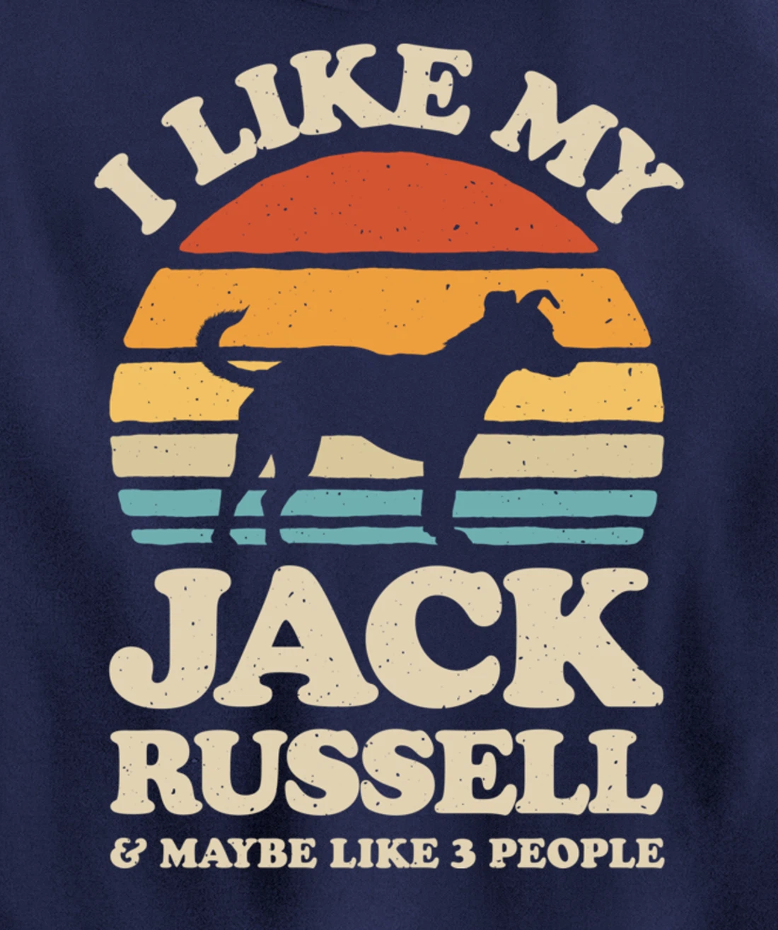I Like My Jack Russell And Maybe Like 3 People Dog Retro Men Pullover Hoodie