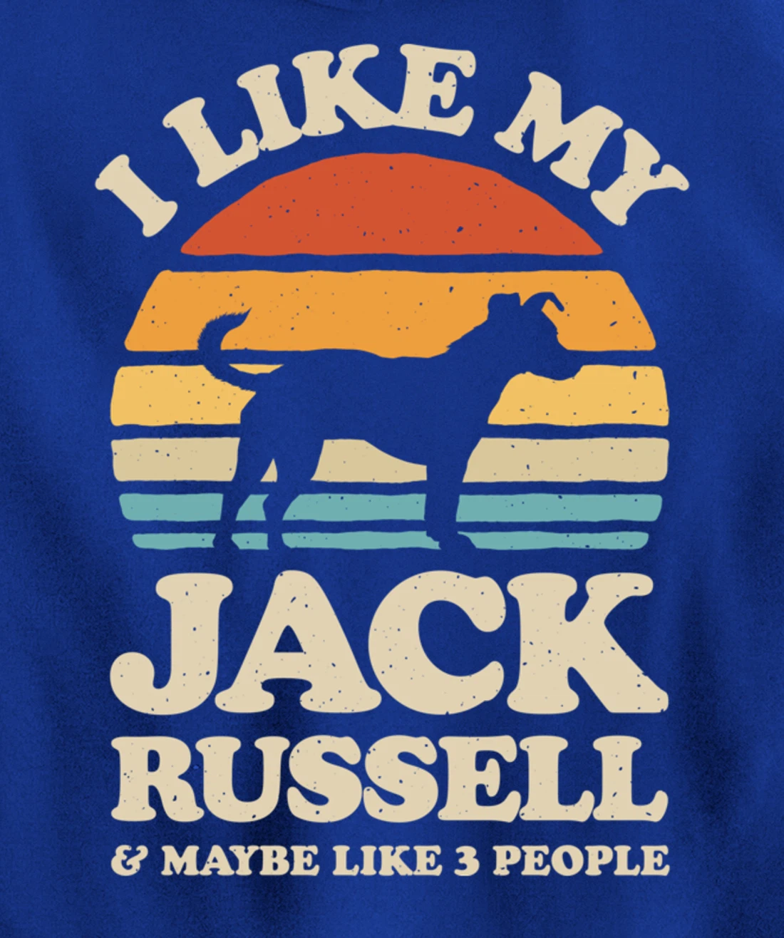 I Like My Jack Russell And Maybe Like 3 People Dog Retro Men Pullover Hoodie