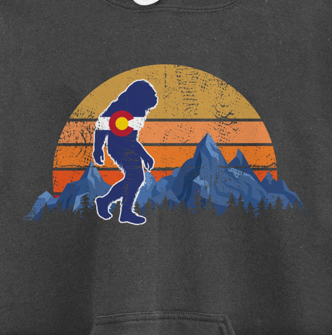 Colorado Flag Mountain State USA America Patriot Home Denver Pullover Hoodie