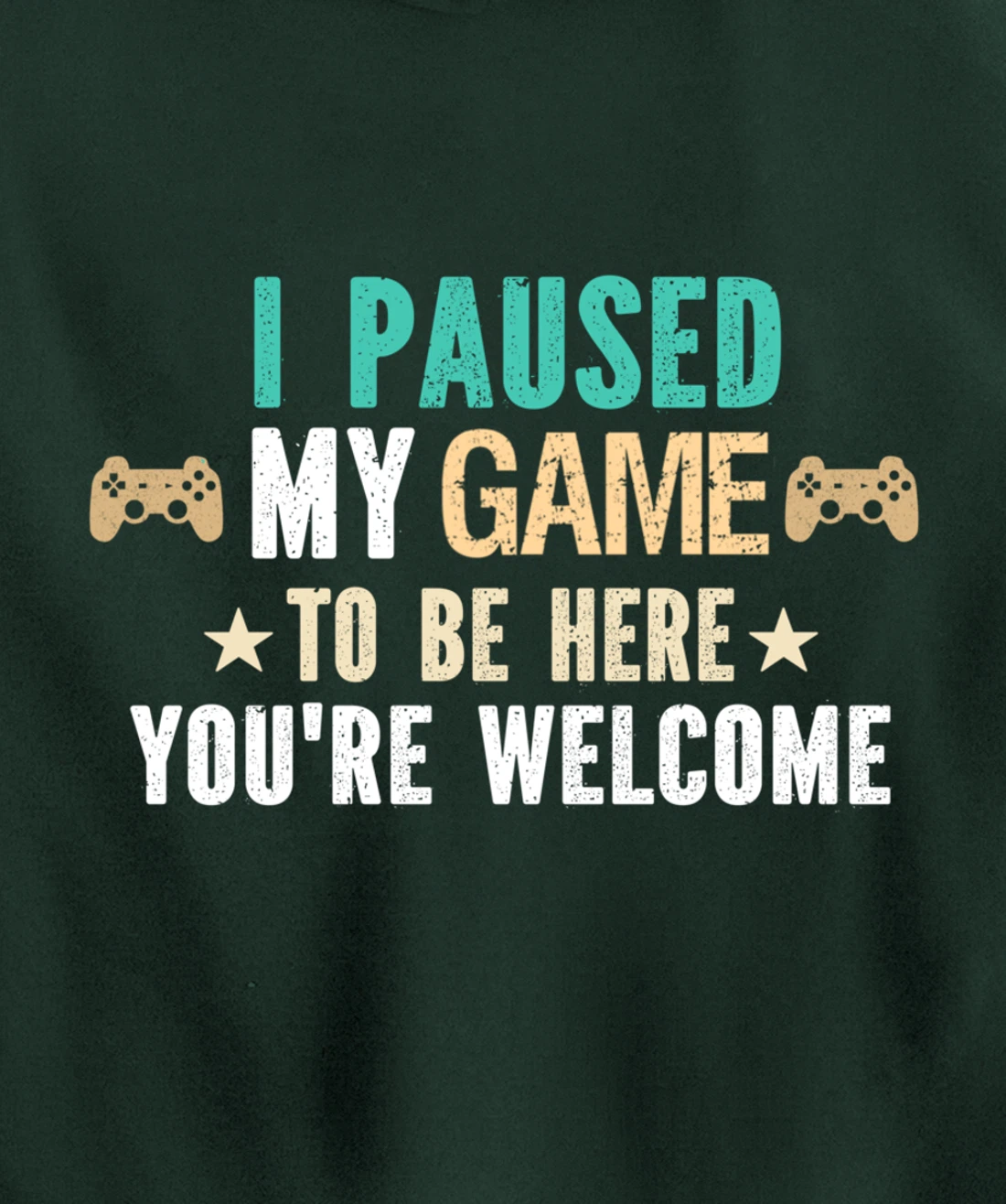 I Paused My Game To Be Here You Are Welcome - Funny Gamer Pullover Hoodie