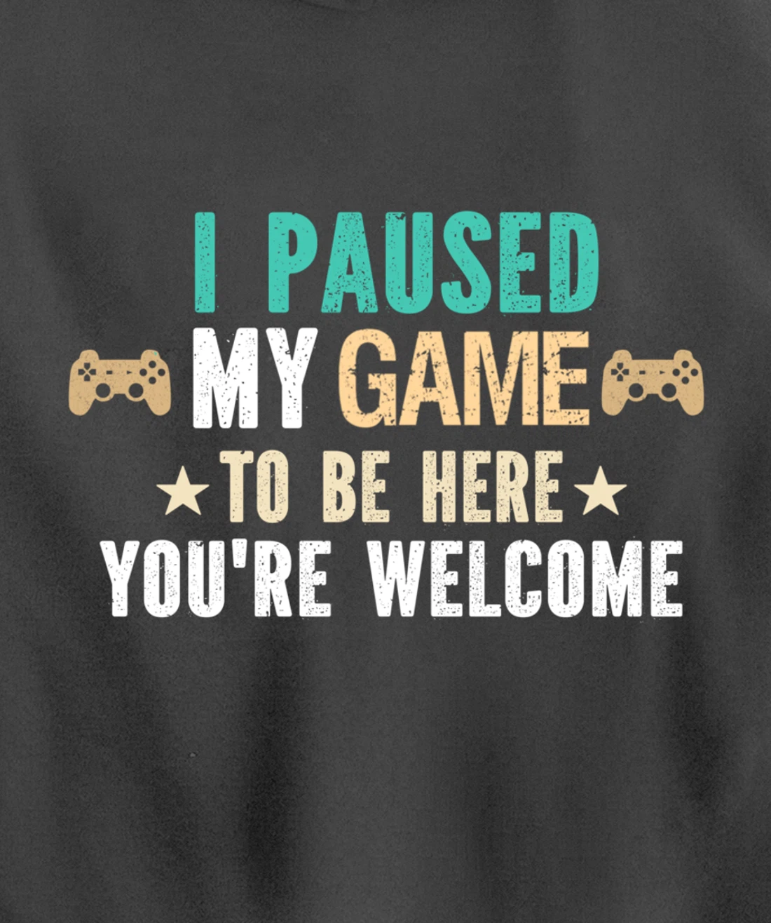I Paused My Game To Be Here You Are Welcome - Funny Gamer Pullover Hoodie