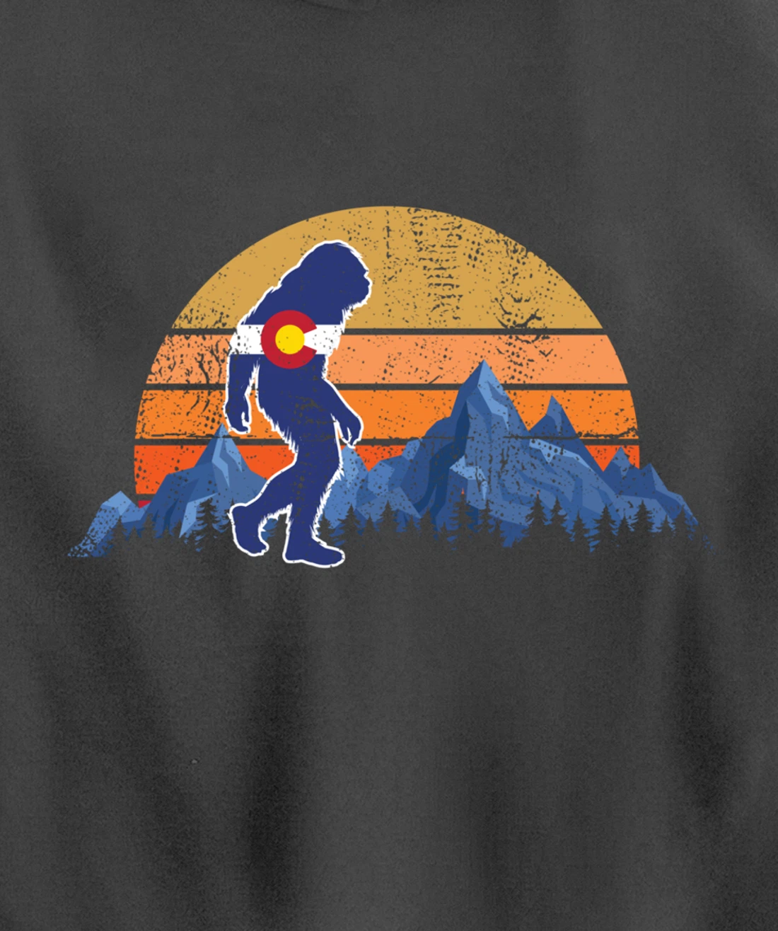 Colorado Flag Mountain State USA America Patriot Home Denver Pullover Hoodie