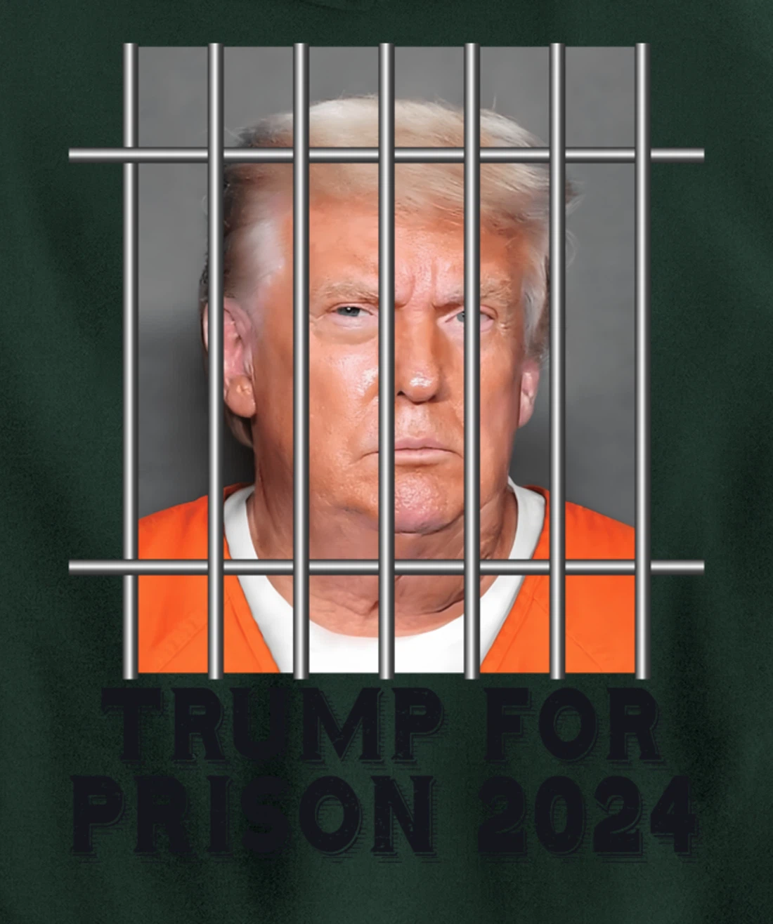 Trump Not Guilty Mugshot Orange Jumpsuit Parody Behind Bars Pullover Hoodie