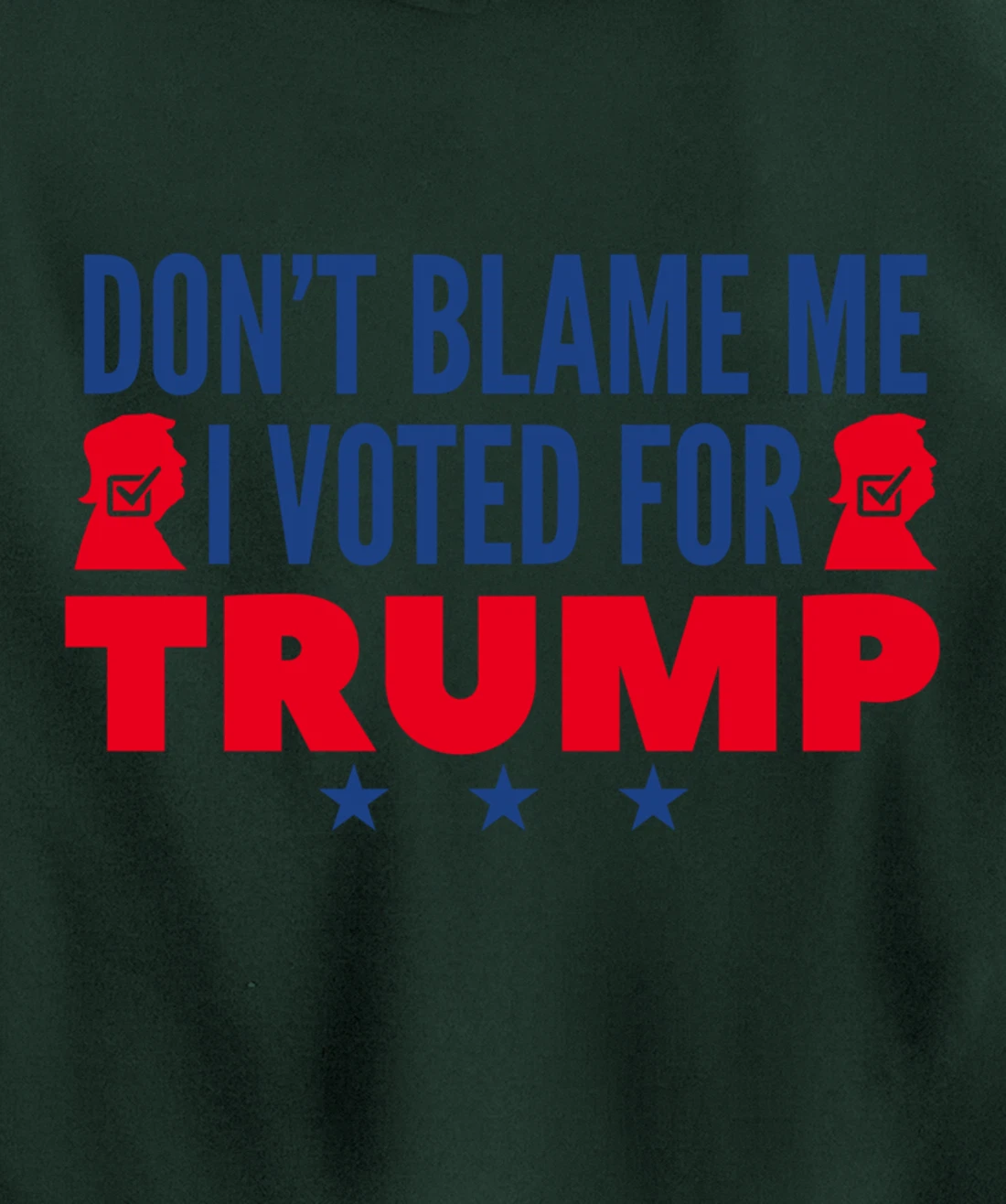 Don't Blame Me I Voted For Trump Pullover Hoodie