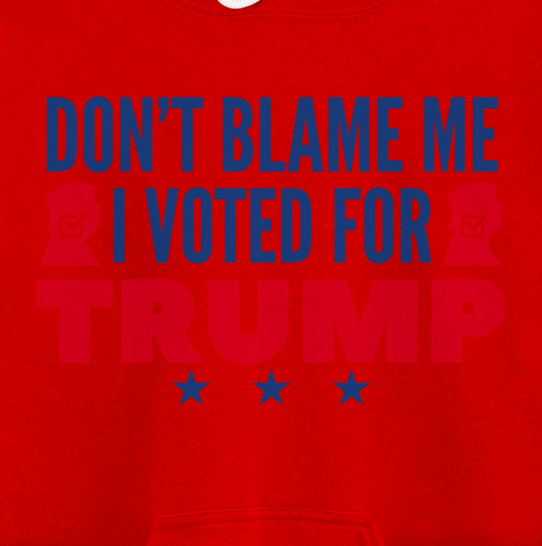 Don't Blame Me I Voted For Trump Pullover Hoodie