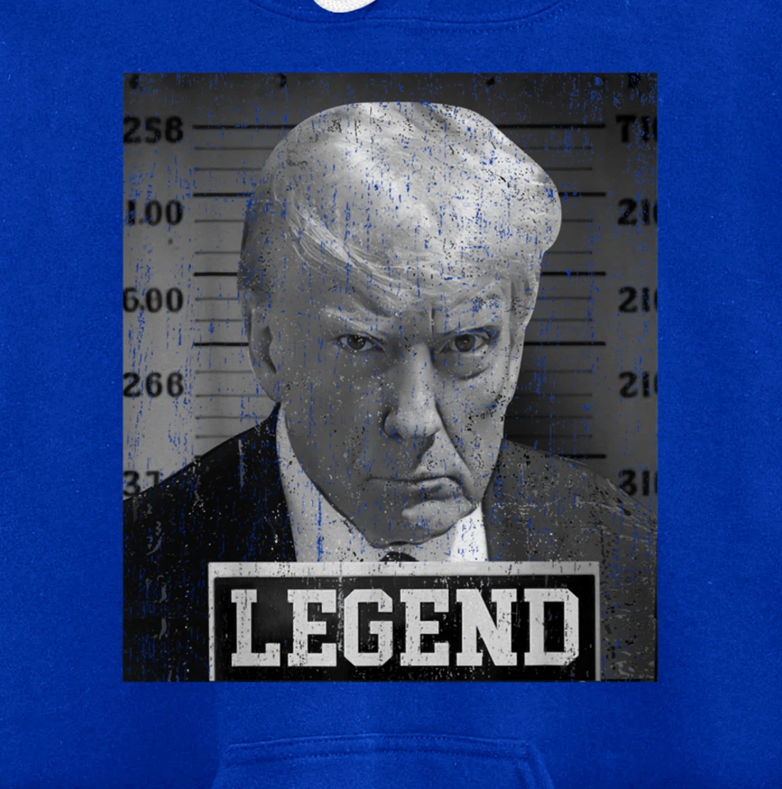 Free Donald Trump mug shot republican president MAGA 2024 Pullover Hoodie