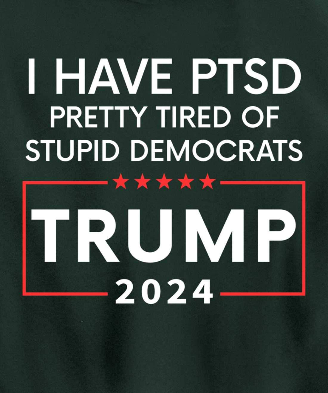 2024 Pullover Hoodie