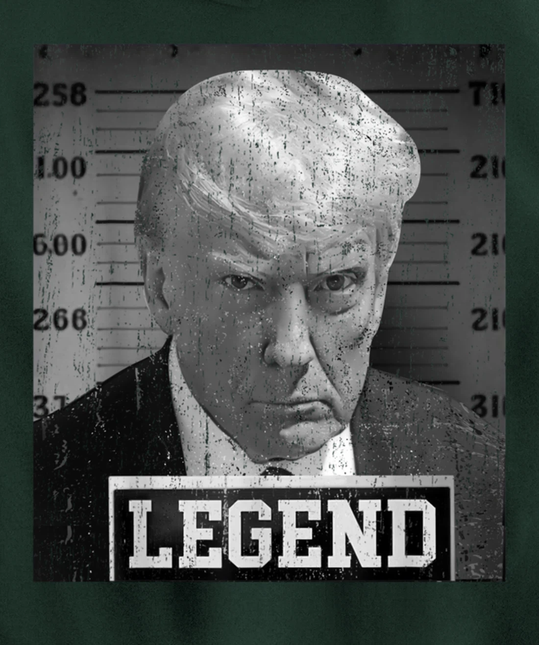 Free Donald Trump mug shot republican president MAGA 2024 Pullover Hoodie