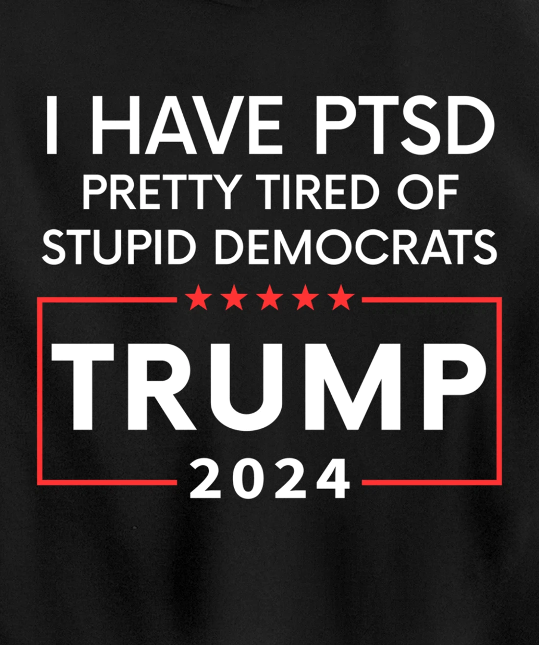 2024 Pullover Hoodie