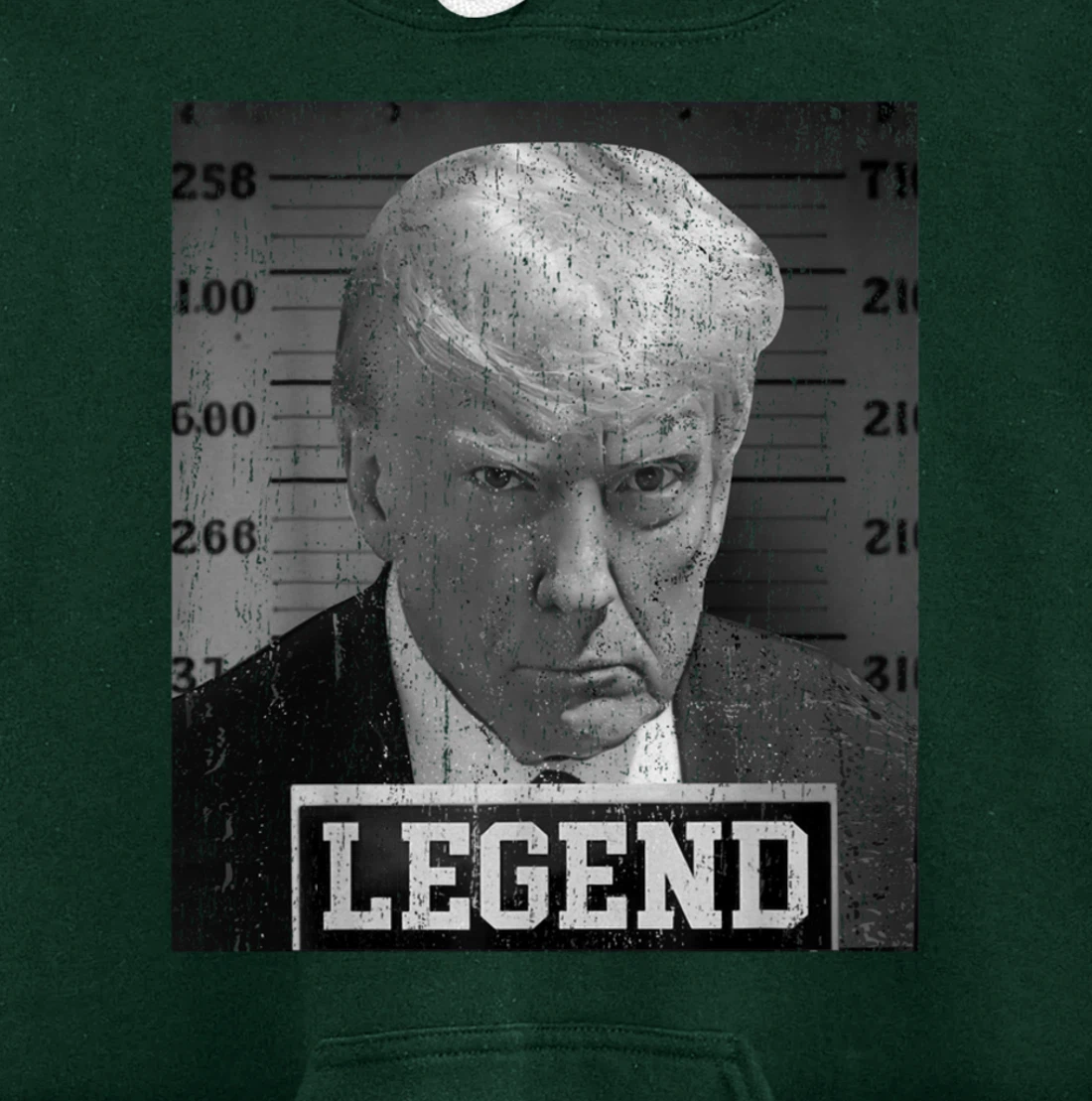 Free Donald Trump mug shot republican president MAGA 2024 Pullover Hoodie