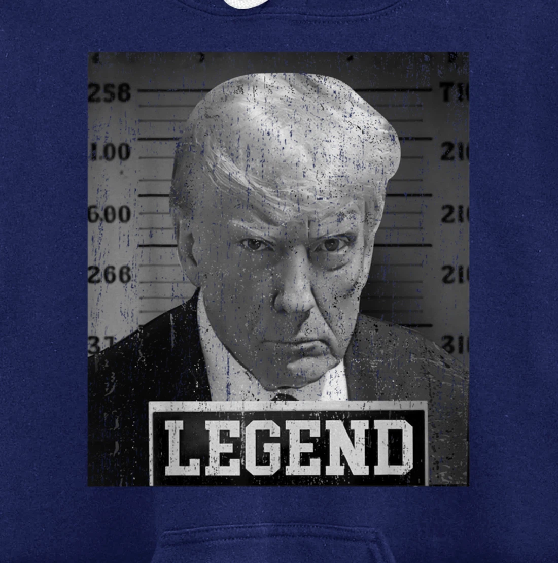 Free Donald Trump mug shot republican president MAGA 2024 Pullover Hoodie