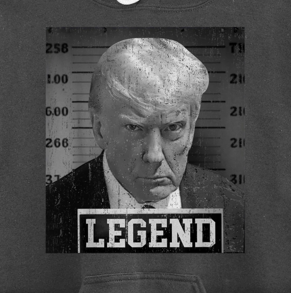 Free Donald Trump mug shot republican president MAGA 2024 Pullover Hoodie
