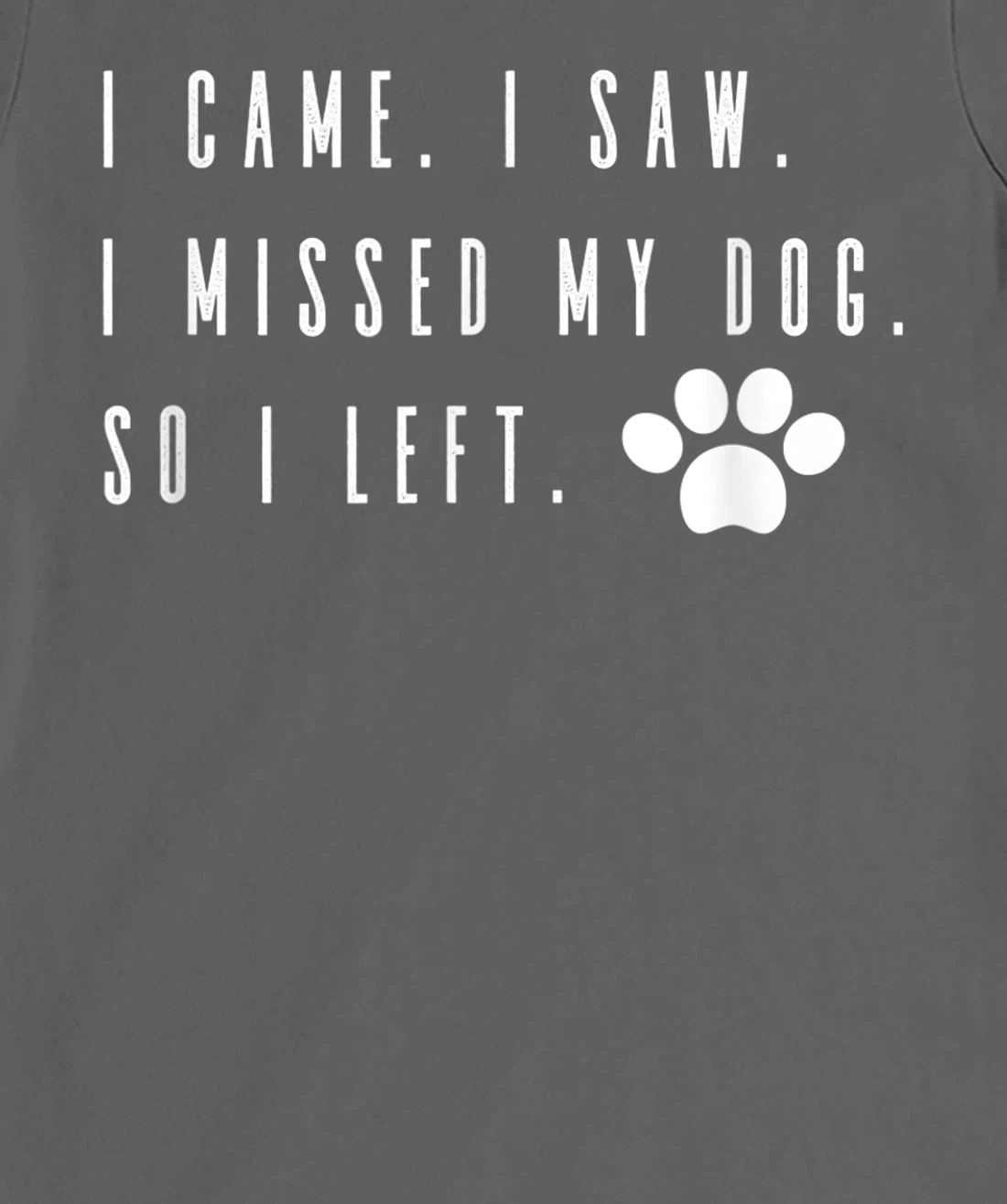 I Came I Saw I Missed my Dog so I Left T-Shirt, Women T-Shirt T-Shirt, Women T-Shirt