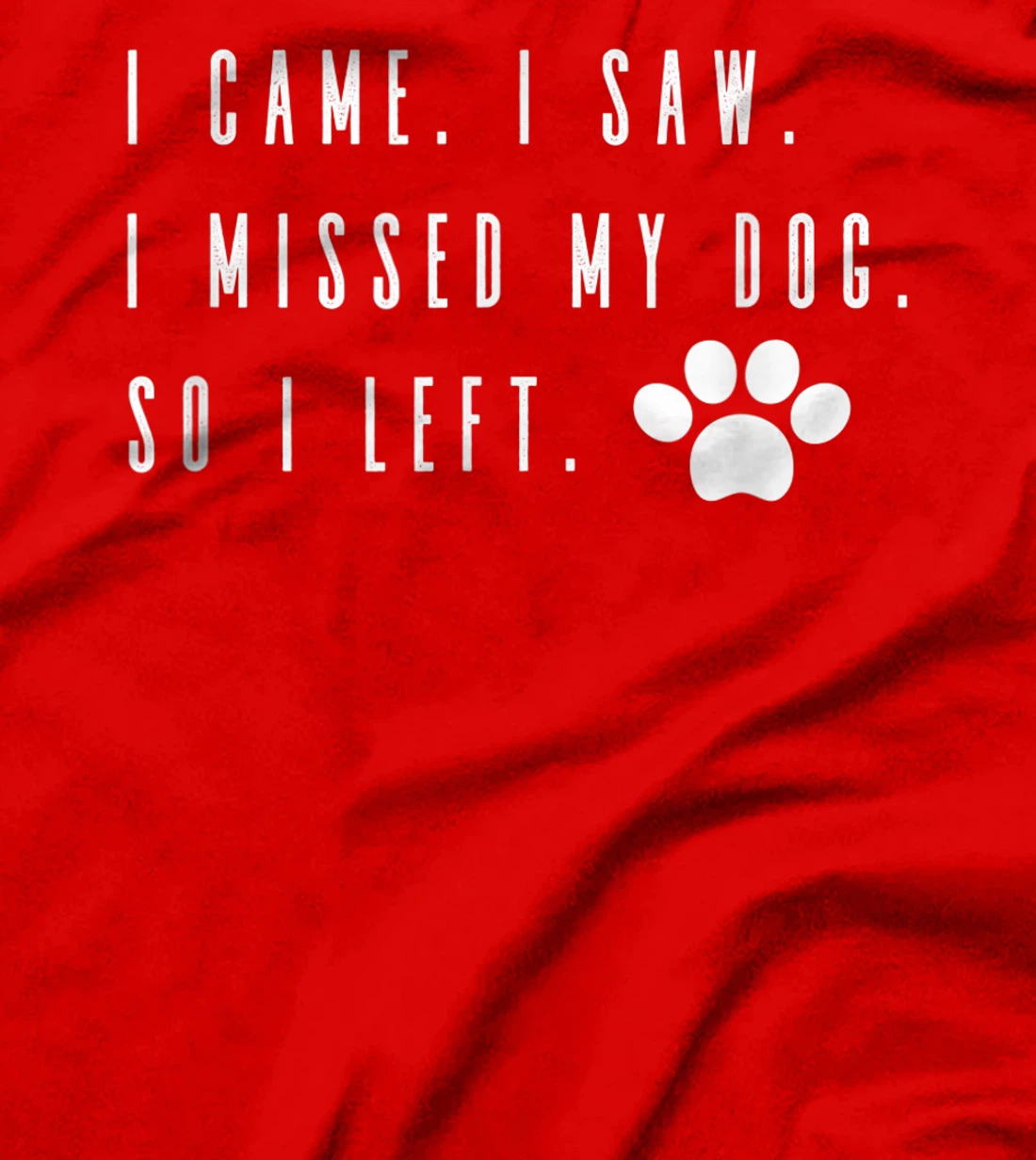 I Came I Saw I Missed my Dog so I Left T-Shirt, Women T-Shirt T-Shirt, Women T-Shirt