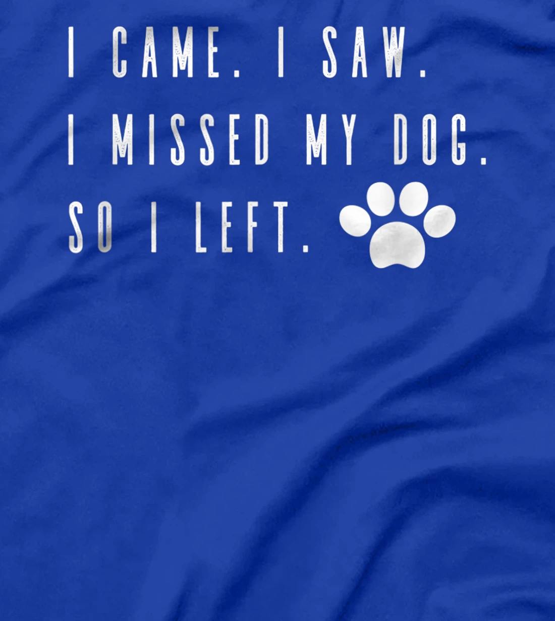 I Came I Saw I Missed my Dog so I Left T-Shirt, Women T-Shirt T-Shirt, Women T-Shirt