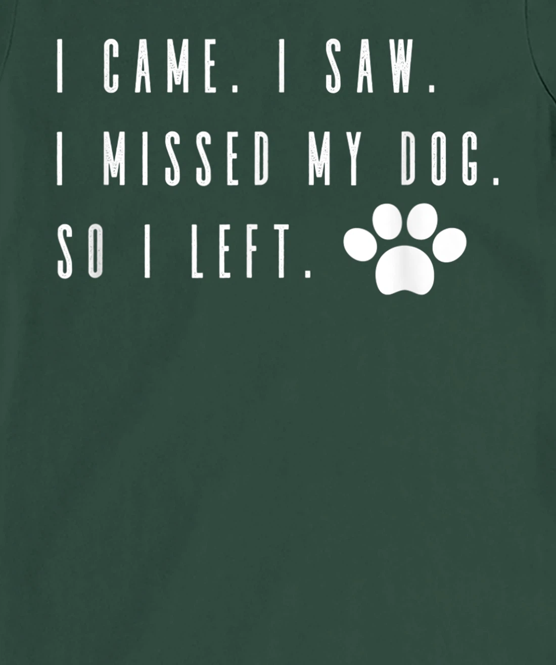 I Came I Saw I Missed my Dog so I Left T-Shirt, Women T-Shirt T-Shirt, Women T-Shirt