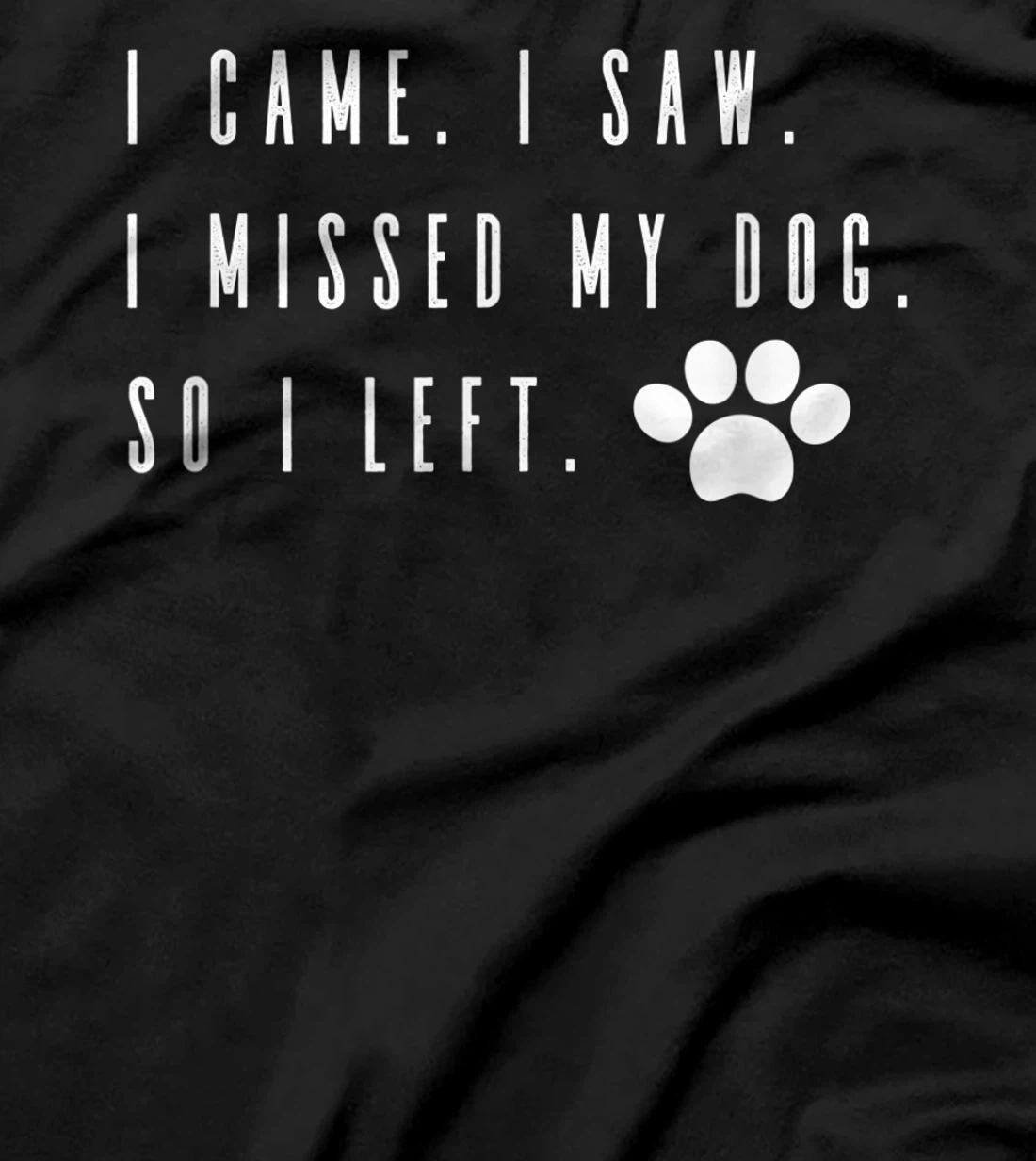 I Came I Saw I Missed my Dog so I Left T-Shirt, Women T-Shirt T-Shirt, Women T-Shirt