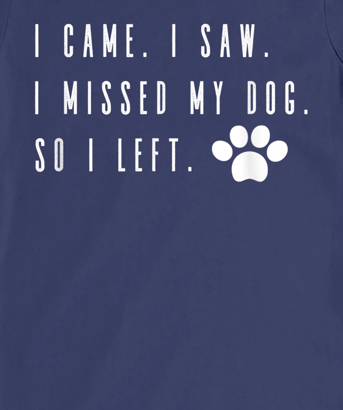 I Came I Saw I Missed my Dog so I Left T-Shirt, Women T-Shirt T-Shirt, Women T-Shirt